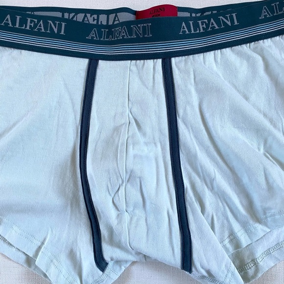 TWO PAIRS ALFANI MEN’S BRIEFS (TRUNKS) SIZE M, NEW W/ TAGS - Picture 6 of 12